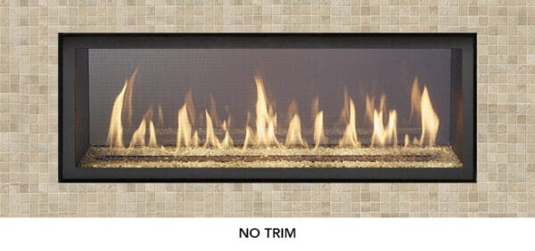 Fireplace X - 4415 See-Thru High Output Deluxe